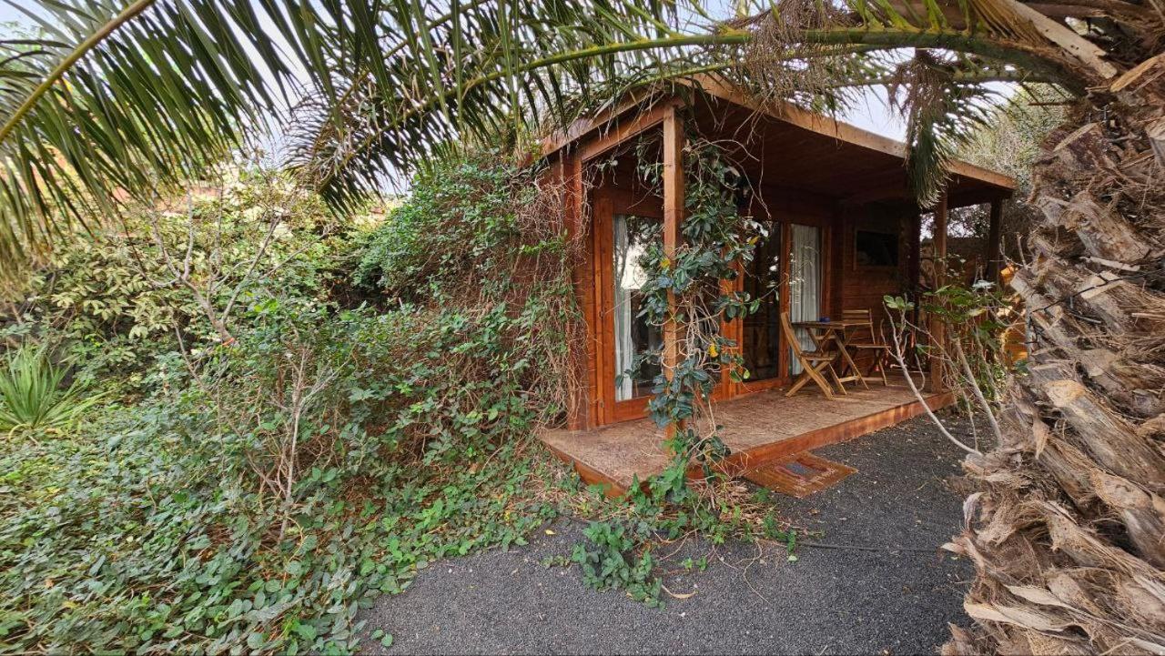 Cabanalanz, Cabanas En Lanzarote Сан-Бартоломе Экстерьер фото