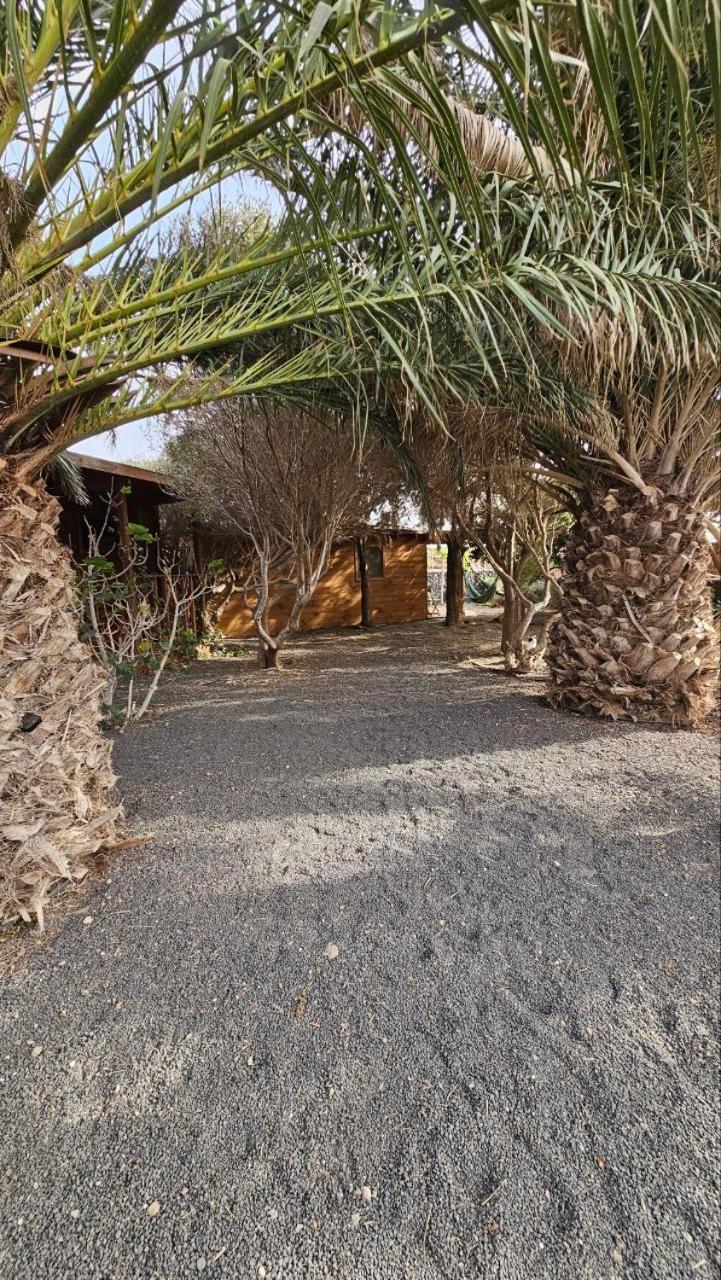 Cabanalanz, Cabanas En Lanzarote Сан-Бартоломе Экстерьер фото